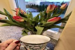 1000077742.jpg